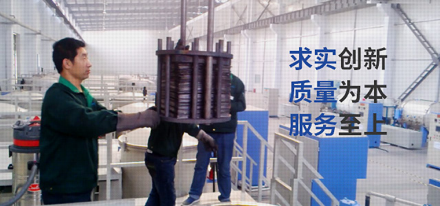 成功案例